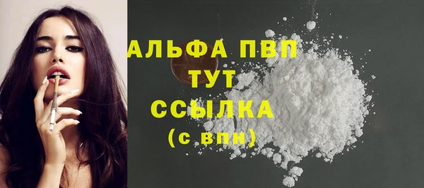 apvp Горняк