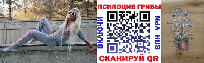Псилоцибиновые грибы Psilocybine cubensis  Рыльск 
